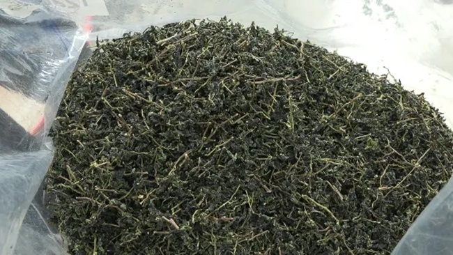 制成的春茶