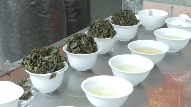 得益於良好的天氣，今年安溪鐵觀音春茶的品質有所提升
