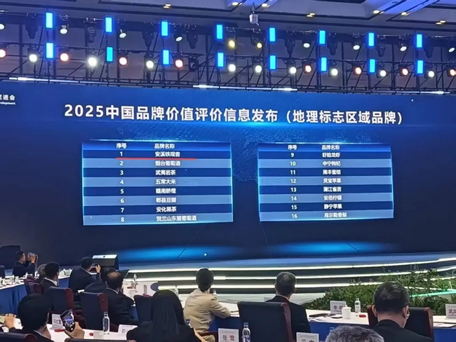 安溪鐵觀音以1443.07億元的品牌價值和899的品牌強度，位列區域品牌第一位