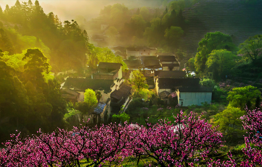 大桥镇丘地村桃花