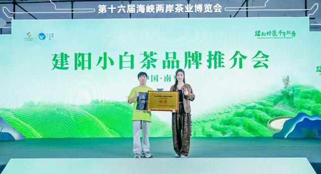 水仙白牡丹荣获第三届中国小白茶茶王争霸赛银奖。建阳区融媒体中心供图