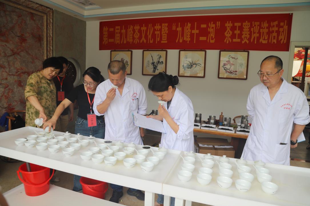 专家评审现场