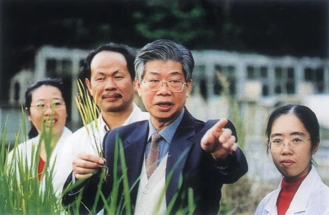 谢联辉带领团队开展水稻病毒防控研究（资料图）
