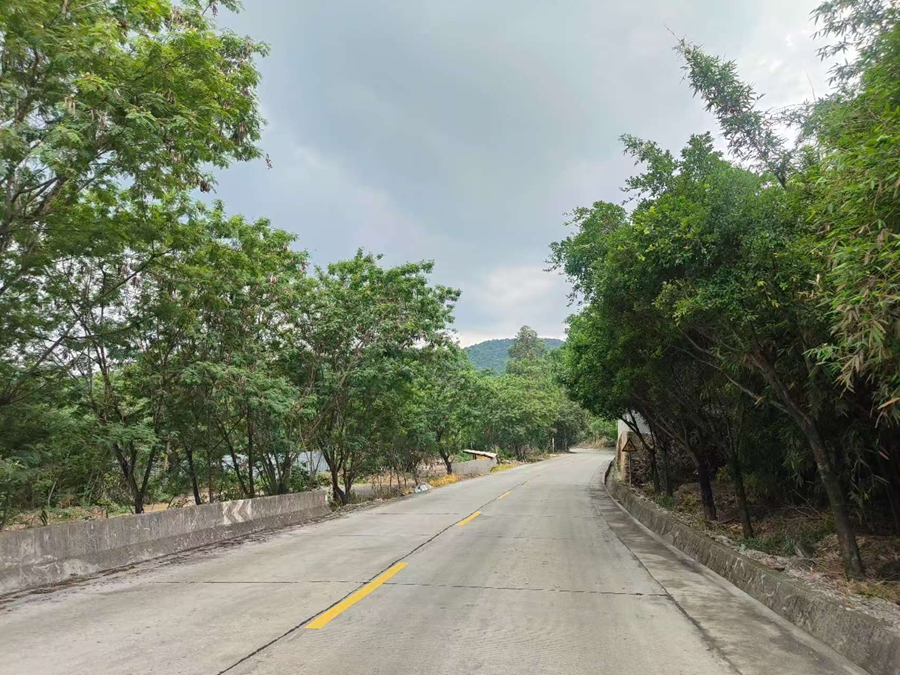 新罗区雁石镇厦老至岩山镇芹园路段水毁修复工程