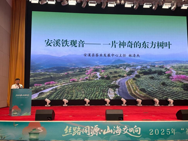 安溪縣茶業發展中心主任林清杰推介安溪鐵觀音