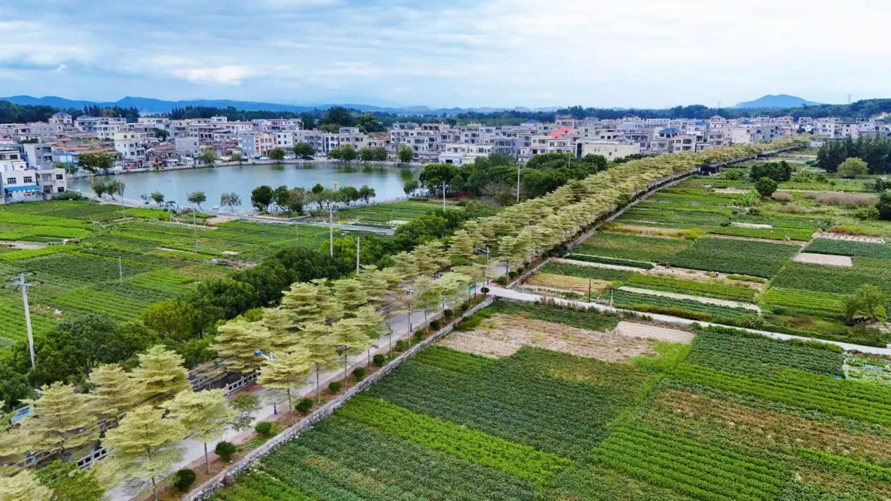 坚持生态公益林地“占一补一”，推进复绿固沙