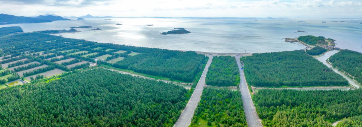 平潭幸福洋吹沙地沿海防護林