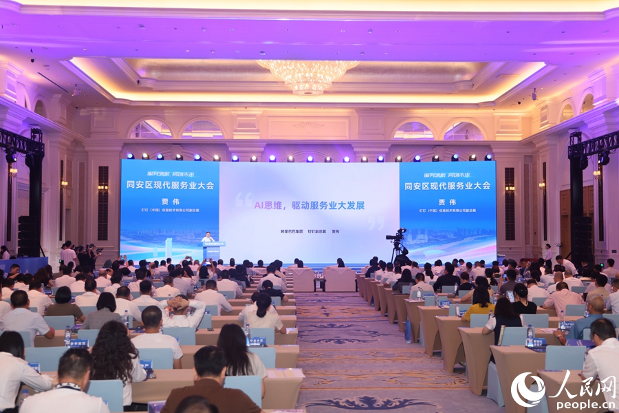 專家主題分享。人民網記者 陳博攝