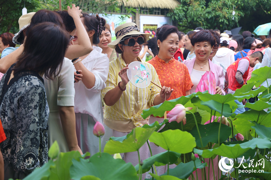 盛开的莲花深受市民游客青睐。人民网记者 陈博摄
