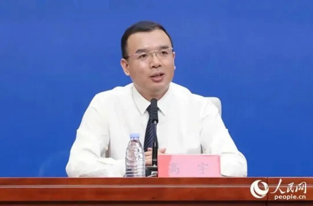 高宇（資料圖）。人民網 陳永整攝
