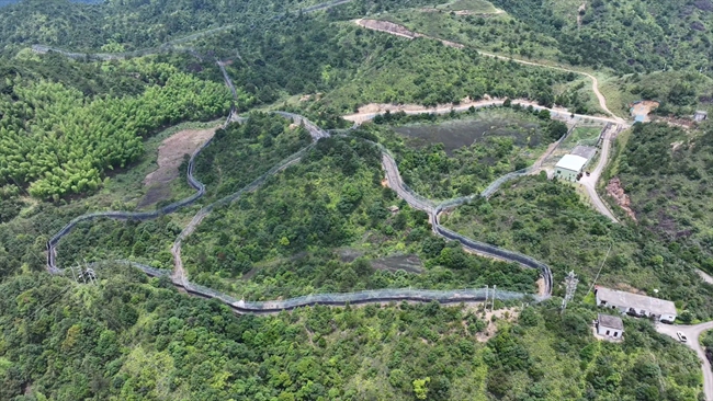 梅花山華南虎繁育野化訓練基地