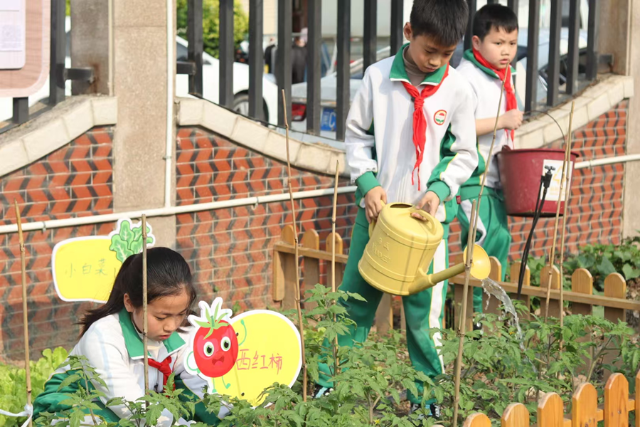 泉州市新华中心小学学生在“绿芽”红领巾劳动园地开展课间活动。泉州市新华中心小学供图