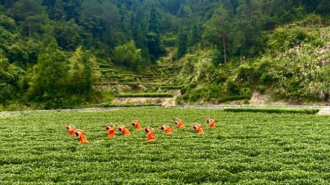 實景沉浸式的環境舞蹈