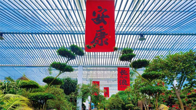 行进中国丨闽西小镇藏着“杜鹃花王国”走进“中国杜鹃花之乡”福建省龙岩漳平市永福镇，三藤杜鹃生态庄园内的上百株杜鹃花枝繁叶茂、形态各异，令人赏心悦目。