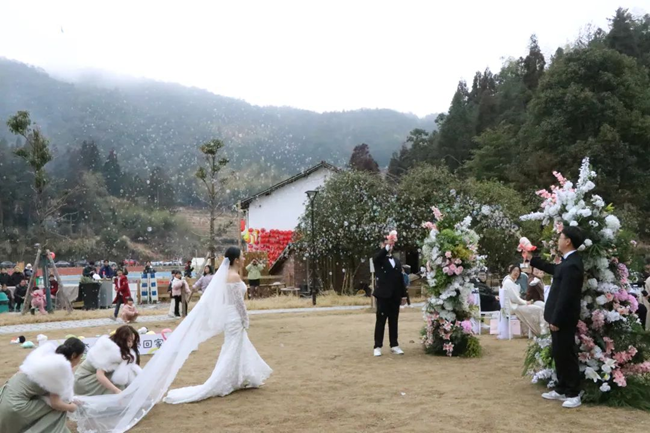举办各类文旅活动