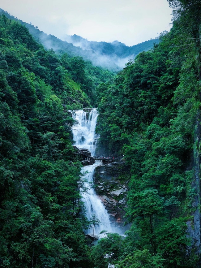 山水為幕，沁涼入心