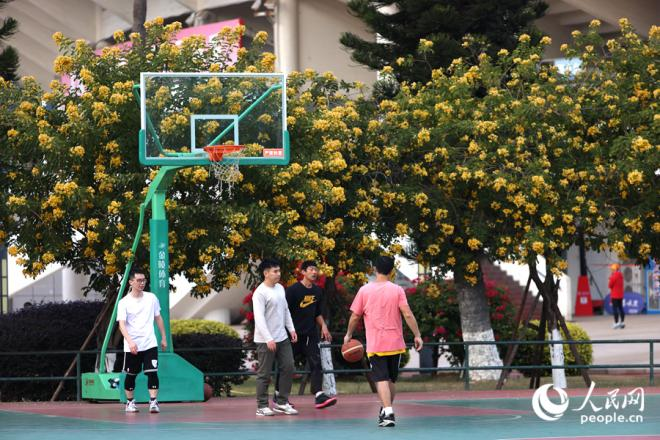厦门市体育中心篮球场深受青少年青睐。人民网记者 陈博摄