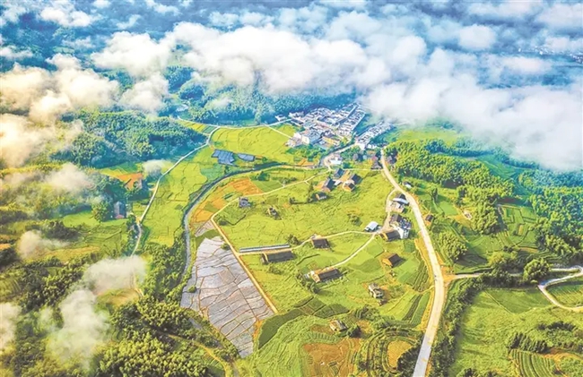柘荣石山洋生态观光区。李民雄摄