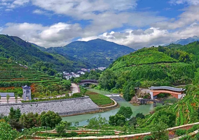 绿水青山的坦洋村。社口镇供图