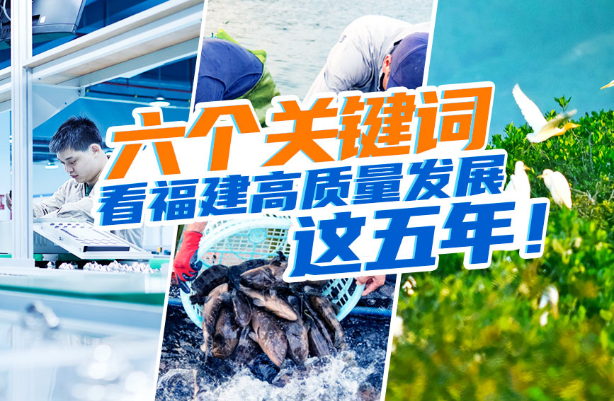 行进中国丨六个关键词，看福建高质量发展这五年！