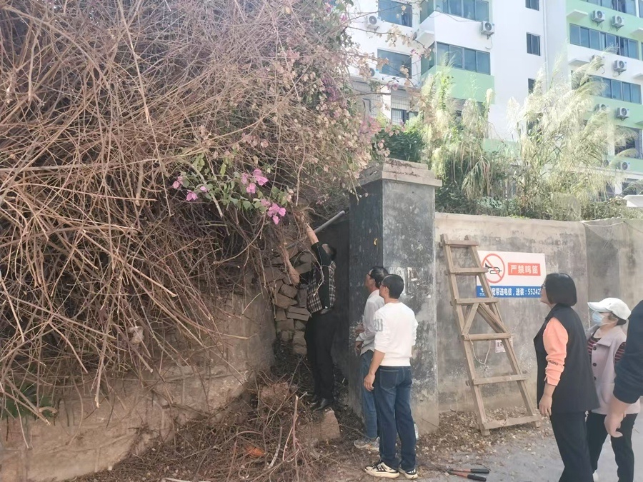 幫助小區居民樓清理三角梅，還居民一片光明。嘉蓮街道供圖