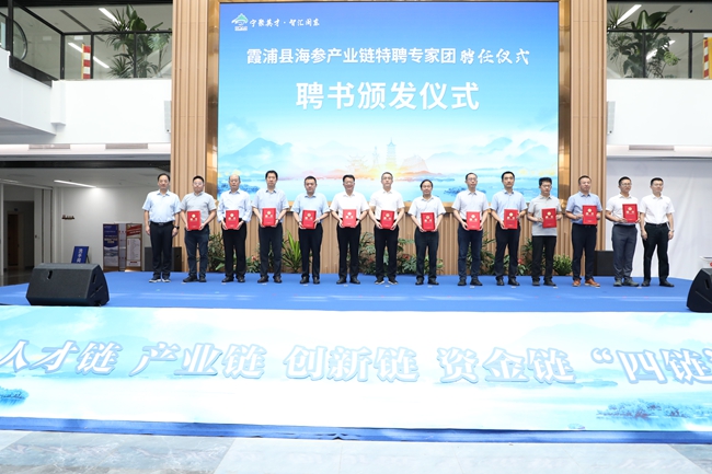 颁发聘书