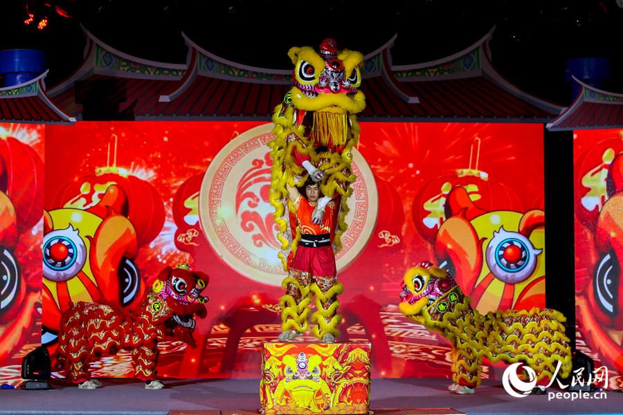 醒狮献瑞传统特色节目展演。人民网记者 陈博摄