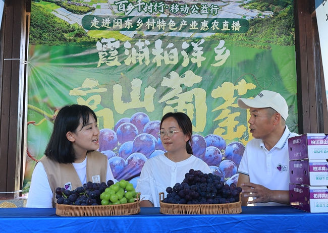直播带货