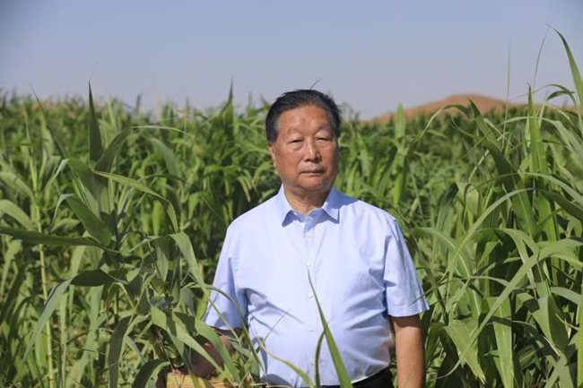 菌草技術發明人林佔熺在內蒙古防風固沙基地