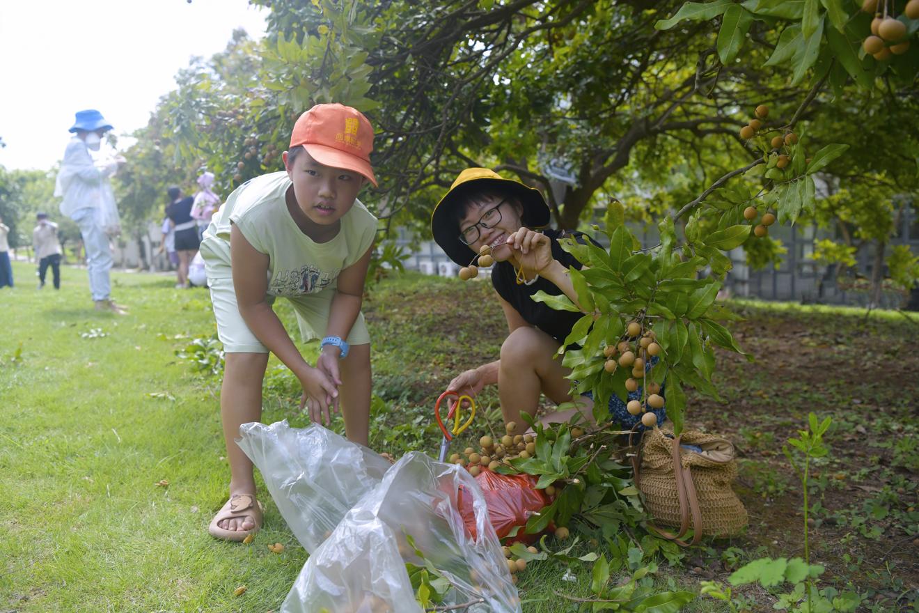 市民享受采摘乐趣,分享丰收喜悦。