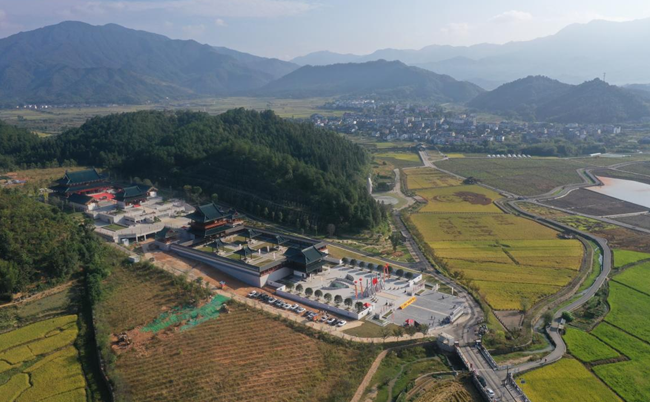 项目全景
