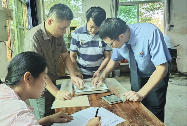 水产养殖领域专家对海蚌苗进行检测验收,确认其符合放流标准