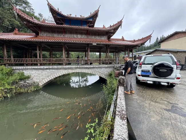 福州旅居游客在紫雲村賞魚