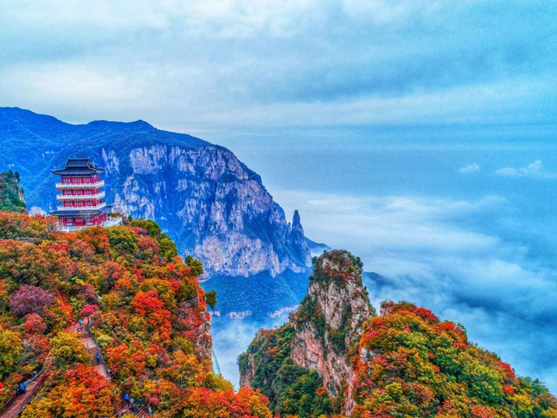 观云海,赏红叶,邂逅王维诗里的云台山。段超摄