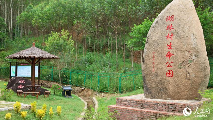 長泰區岩溪鎮湖珠村村生命公園。人民網 李昌乾攝