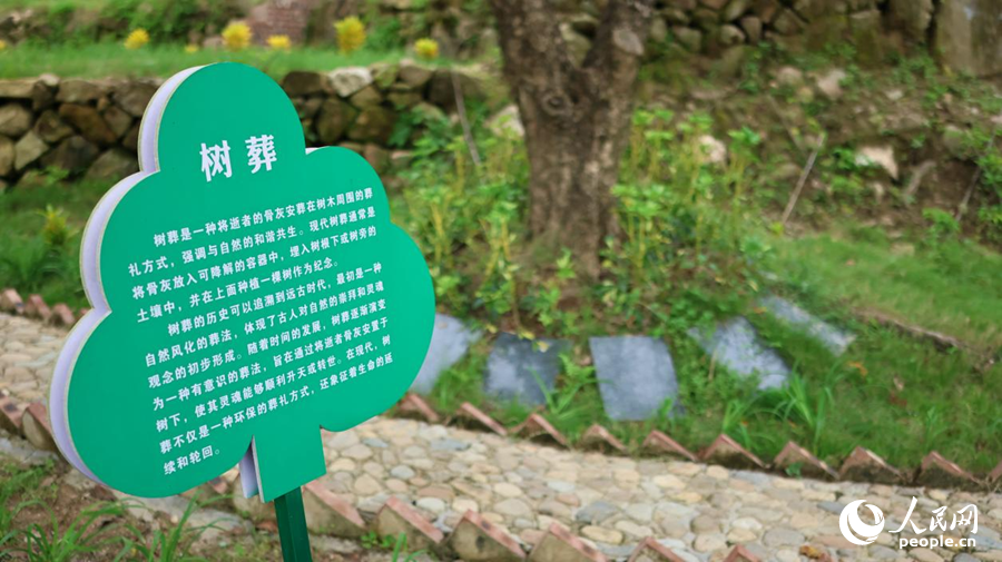 湖珠村生命公園的樹葬區。人民網記者 李昌乾攝