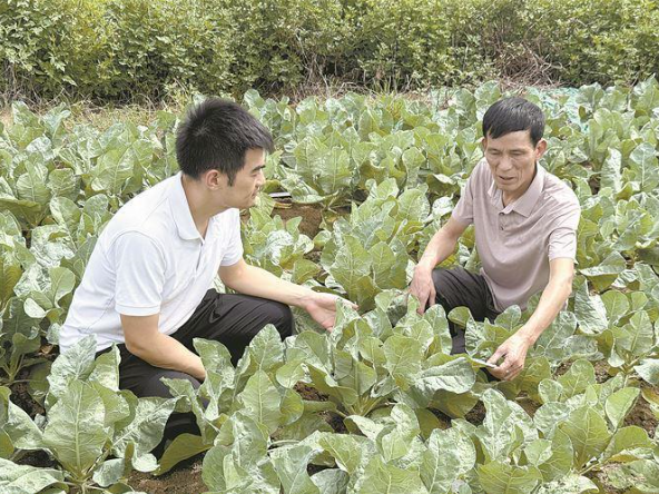 厦门市担保工作人员走访调研农业企业成美慧公司。厦门市担保供图