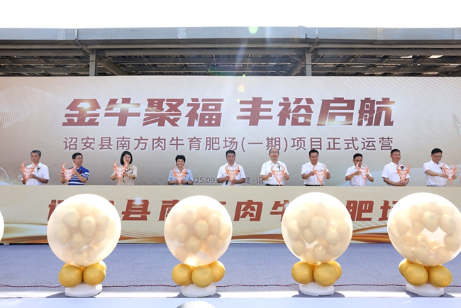 诏安县南方肉牛育肥场一期项目正式开园运营