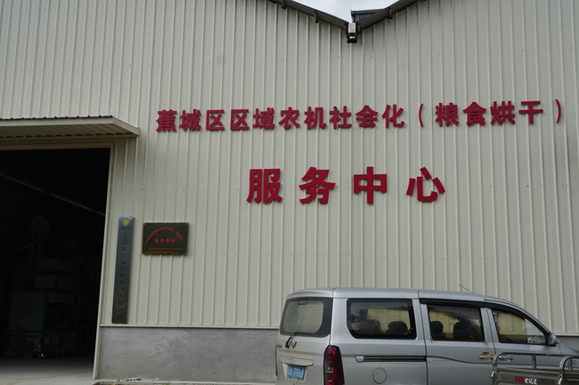 農戶收獲的濕谷可直接運至服務中心烘干