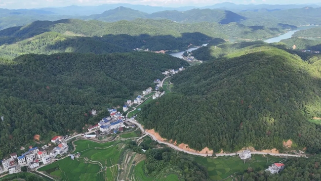 林票項目富農增收