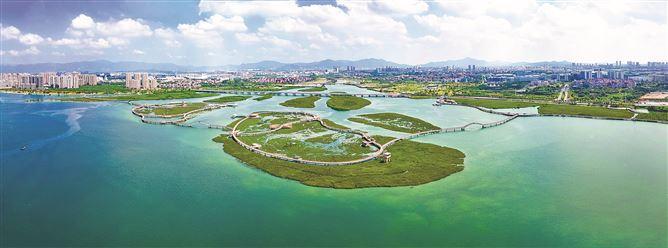 下潭尾红树林公园。洪海浪摄