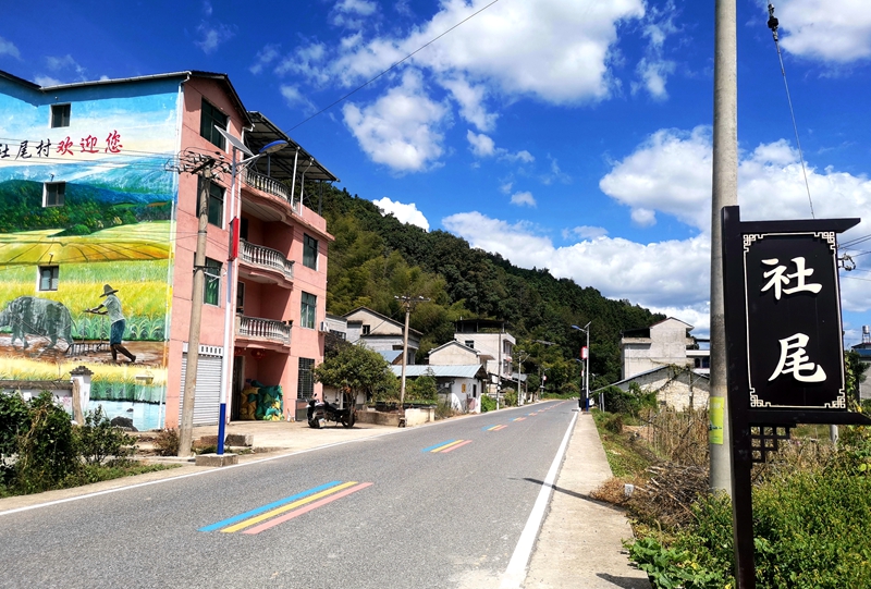南平市建阳区将口镇东田社尾村村口路段。游女士供图