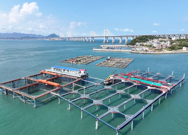 “航宁1号”和在建的“航宁2号”养殖平台。包华摄