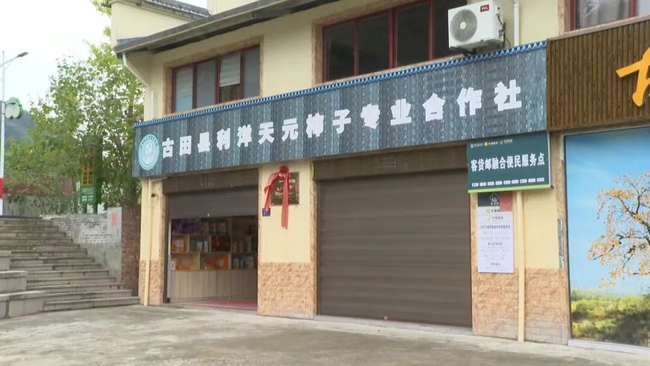 村党支部领办合作社，打造“兴利洋”品牌