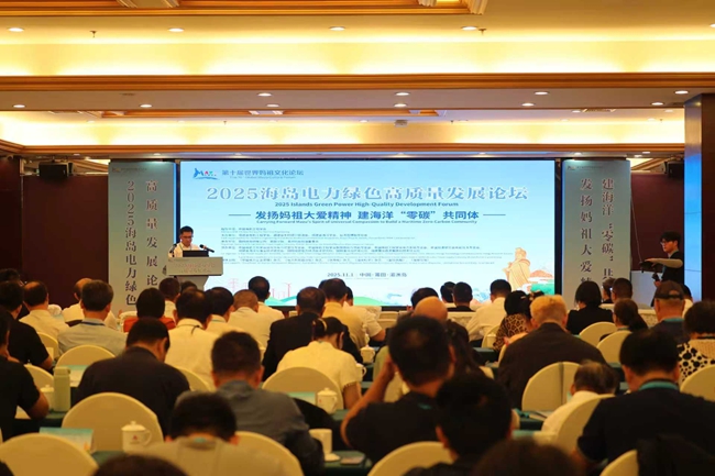 第二届海岛电力绿色高质量发展论坛现场