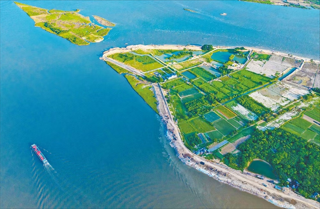 閩江干流防洪提升工程(福州龍祥島段)。林雙偉攝