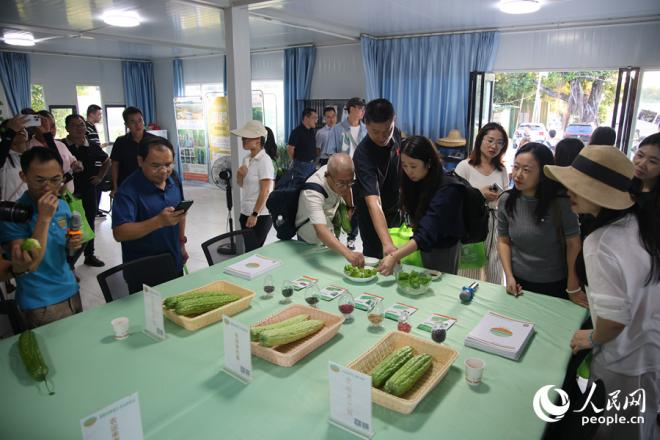 采风团品尝特色苦瓜。人民网记者 陈博摄