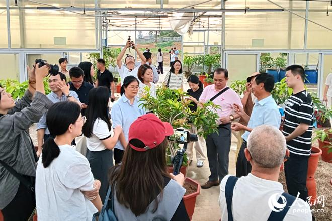 参观“会走路的水果”。人民网记者 陈博摄