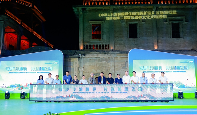 启动仪式。主办方供图