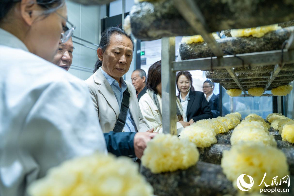 古田籍乡亲来到福建农林大学（古田）菌业研究院。实习生 郑舒尘摄